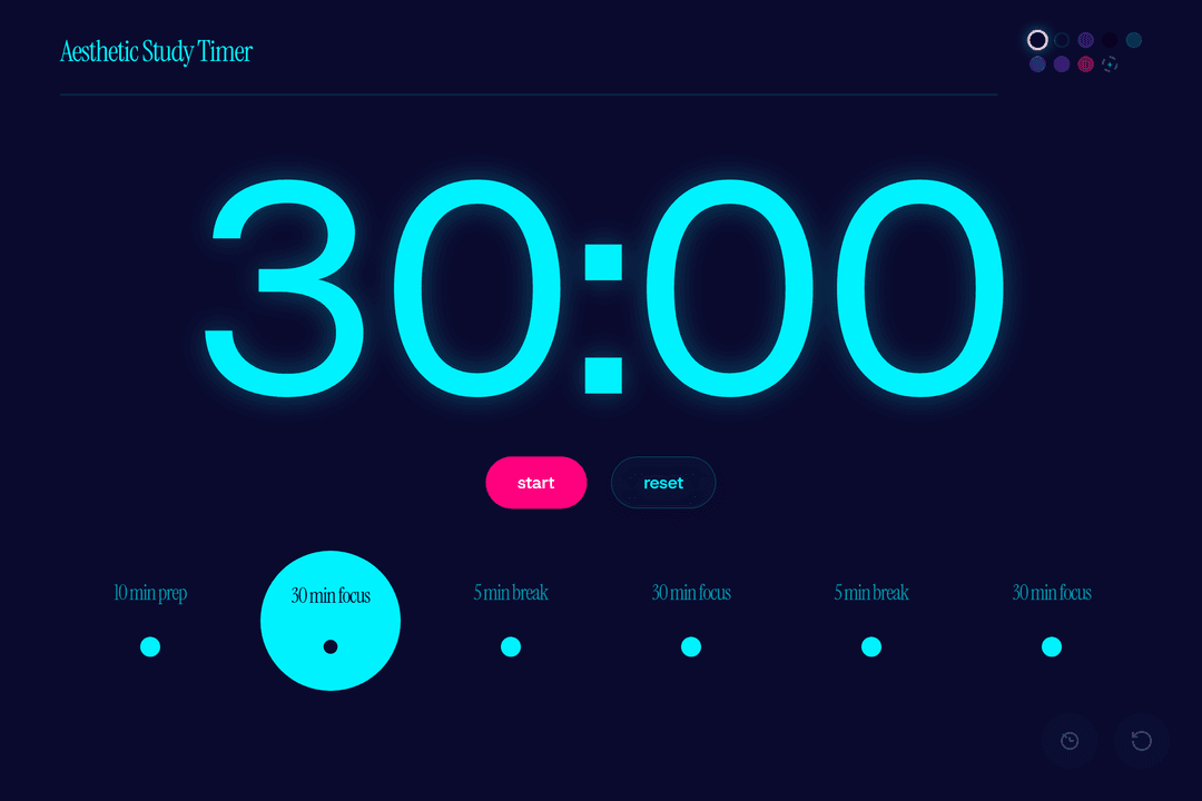 Aesthetic Study Timer (copy)