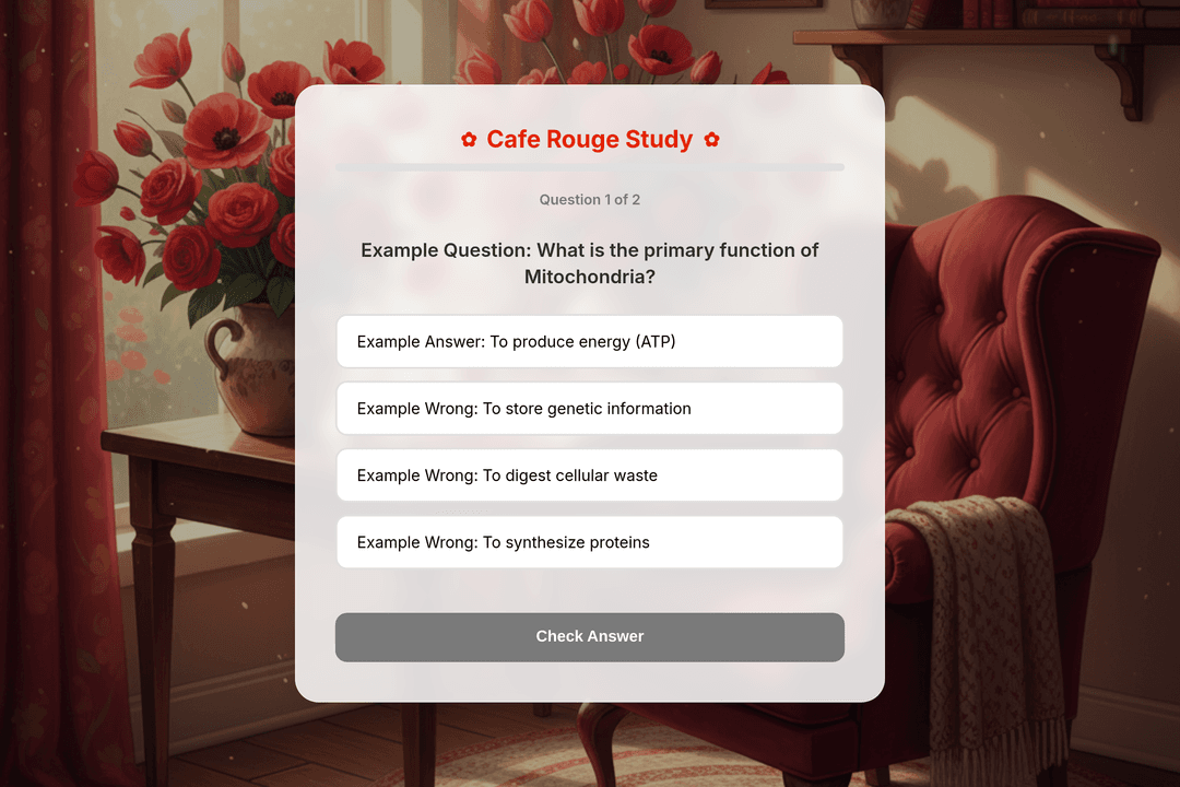 Cafe Focus